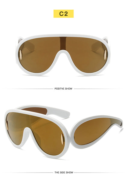 Big Frame Sunglasses 1188950