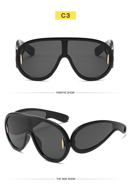 Big Frame Sunglasses 1188950