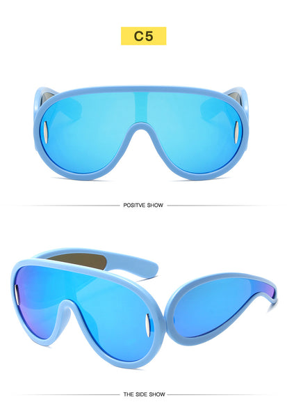 Big Frame Sunglasses 1188950