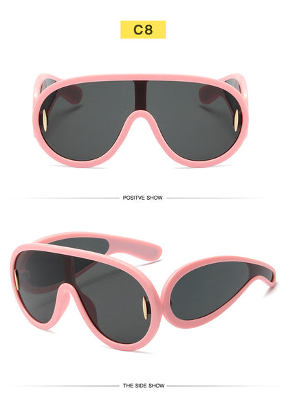 Big Frame Sunglasses 1188950