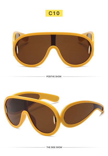 Big Frame Sunglasses 1188950