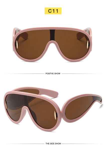 Big Frame Sunglasses 1188950