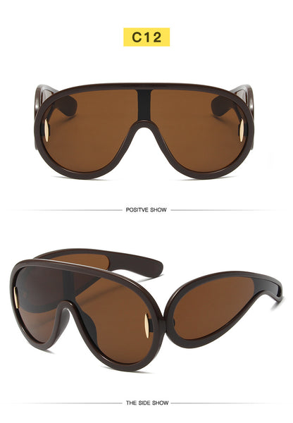 Big Frame Sunglasses 1188950