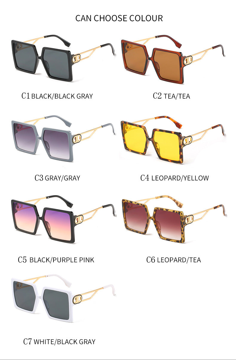 DD Large Frame Sunglasses