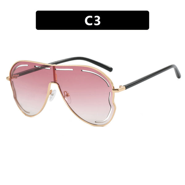 Large Frame 8024 Sunglasses