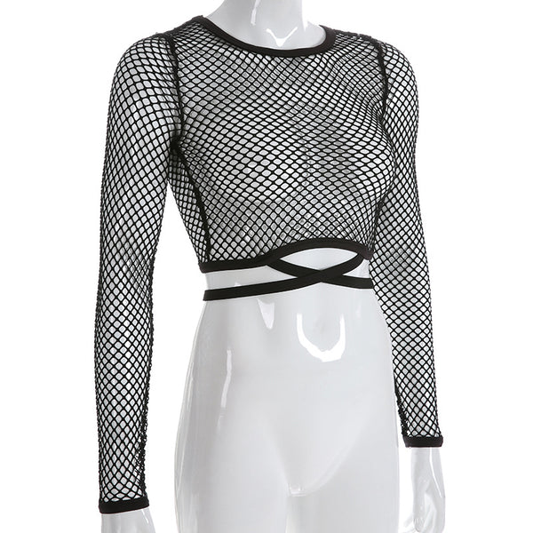 Mesh Long Sleeve Crop Top