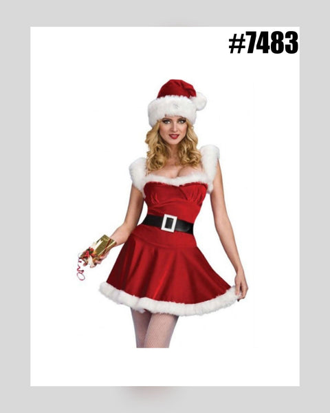 Free Size Mrs Clause Costume