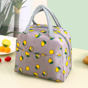 Insulated Fashion Lunch Bag