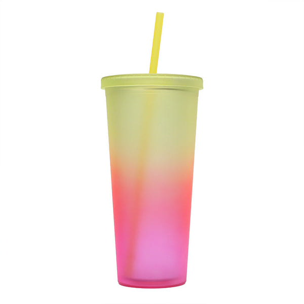 800ml Gradient Color Double Walled Insulated Cup with Straw